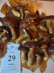 6ea9068b-46af-4e78-94fb-d266ada093cf