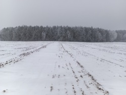 51bb2d99-f3f2-4e1e-afc0-c192990d526b