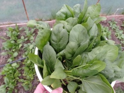 cdcaa4e2-7c94-4c71-a828-3858fbd230c0