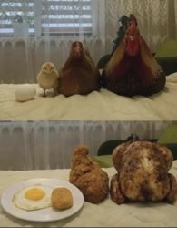 25177873-1aa8-4363-bad3-40b1cba80b3e