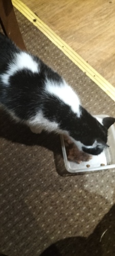 Prosze was ﻿#hejto﻿ o jedno, nie zasypujcie mnie milionem pytań o #cpk, ja nie jestem tu ekspertem! ok? Za karę - rebe-szunis - Hejto.pl