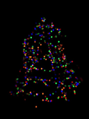 A kiedy Wy ubieracie swoje choinki? #swieta #bozenarodzenie #choinka - koszotorobur - Hejto.pl