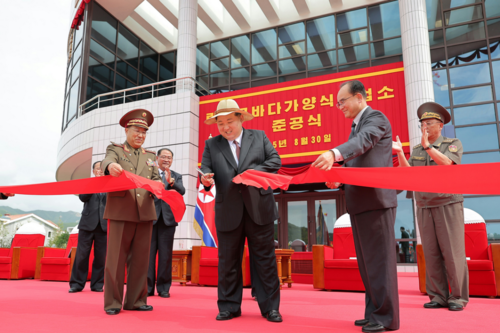 A co mi tam, witam na nowym tagu #codziennykimdzongun , na którym będę pokazywał w miarę codziennie zdjęcia Kim - bojowonastawionaowca - Hejto.pl