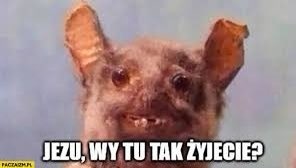 Naprawdę nie wiem jak wy żyjecie z nowoczesnymi autami.\ \ Z kolegą jedziemy nowym Subaru. Kolega wyjeżdża z - SzubiDubiDU - Hejto.pl