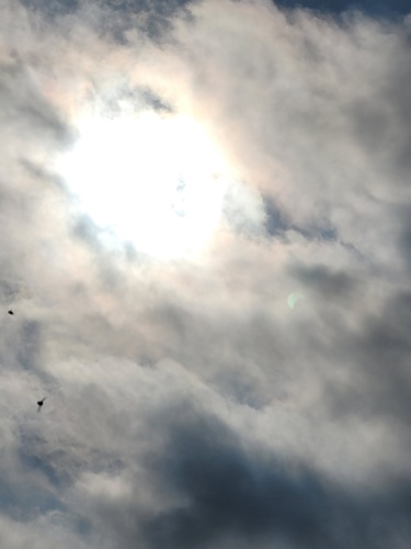 #fafasiezaburza 19. Nie spię, tak bardzo nie śpię. Robi się coraz gorzej i czuje, że jestem bliżej o krok by - Fafalala - Hejto.pl