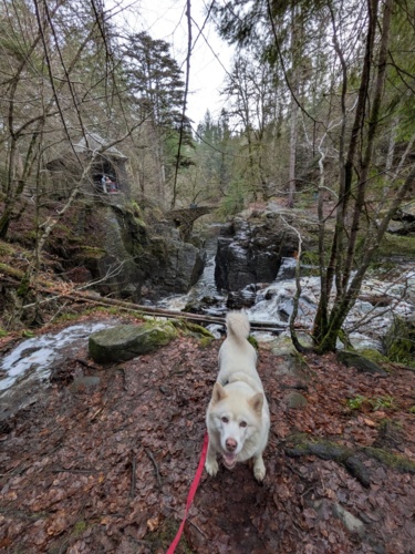 Szczęśliwego Nowego Roku Wszystkim :sunrise: Wczoraj poszedłem spać o 23 20, ale u rodziny było już po - conradowl - Hejto.pl