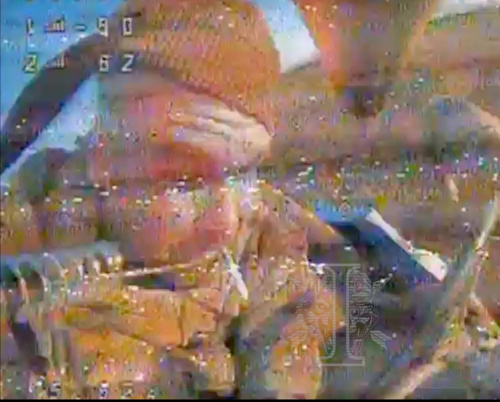 :smoking:Palenie jest bardzo szkodliwe, a szczególnie dla Rosjan na ukraińskiej ziemi SSO pracuje :fire: #ukraina - Mikuuuus - Hejto.pl