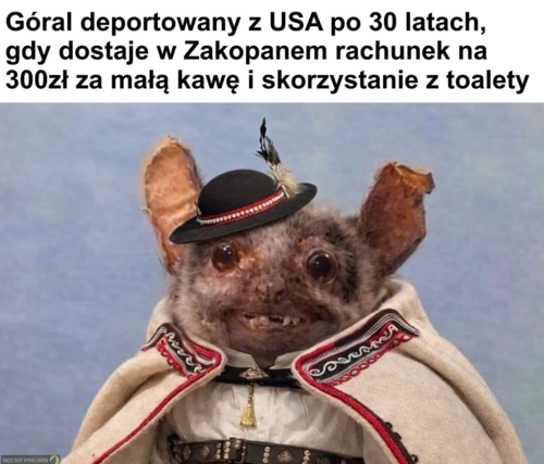 #heheszki #bekazgorali - festiwal_otwartego_parasola - Hejto.pl