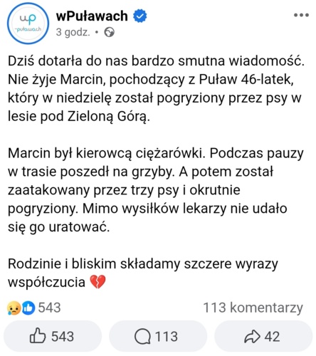 A ja dostałem zadanie jesienne by na grzyby iść. Taki kaktus! Nie idę #grzyby #psy #wiadomoscipolska #pulawymiasto - cebulaZrosolu - Hejto.pl