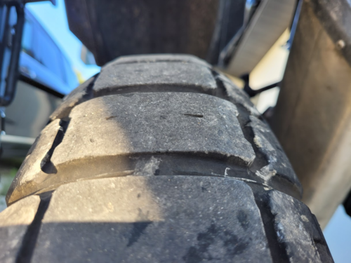 Tak sobie ostatnio myślę, żeby wziąć kozę i spróbować polatać po sniegu na polnych dróżkach w okolicy. Może - Cinkciarz - Hejto.pl