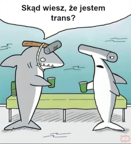 #heheszki #bekazlewactwa - LordWader - Hejto.pl