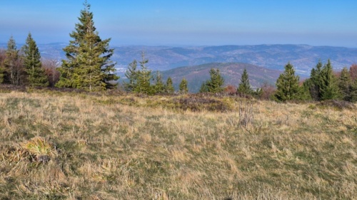Złota Grapa już nie złota, Tatr nie widać praktycznie. Chwila zadumy nad tymi co wyszli ale nie zeszli i do domu. - Ravm - Hejto.pl