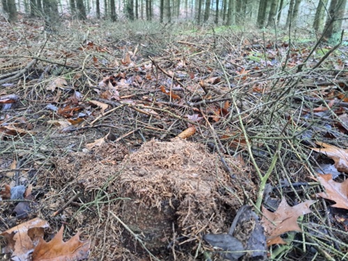 Teoretycznie powinno się płacić abonament rtv za samą możliwość konsumowania treści. Jestem innego zdania. To - Airbag - Hejto.pl