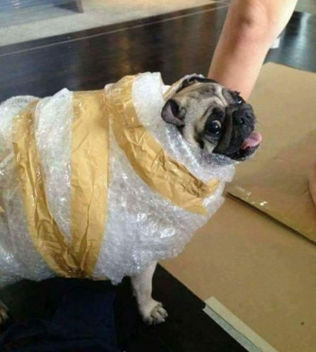 To nawet nie jest on. #owcaspam - nbzwdsdzbcps - Hejto.pl