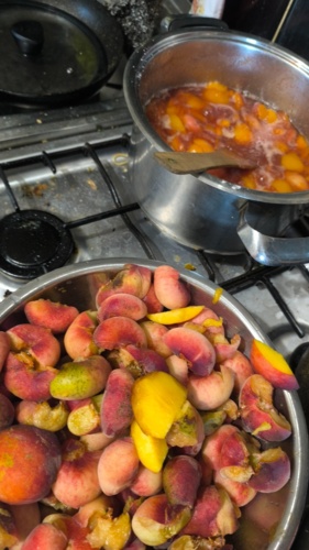 Pora na pierwszy rzut dżemoru z brzoskwiń. #ogrodnictwo #gotujzhejto #zainteresowania #gownowpis #chwalesie - starebabyjebacpradem - Hejto.pl