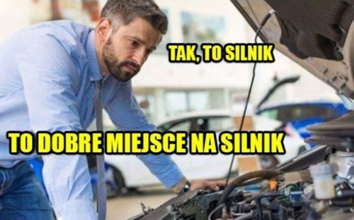 Dobra misiaki, potrzebuję pomocy. W ciągu najbliższego miesiąca, może trochę mniej może więcej, będę - Rozpierpapierduchacz - Hejto.pl