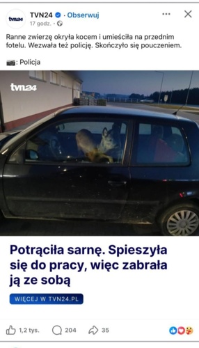 #wiadomoscipolska #sarenki #pracbaza - Heheszki - Hejto.pl