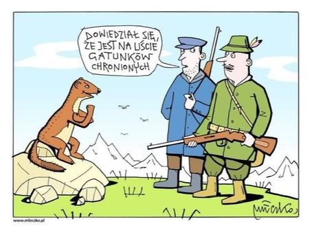 . #heheszki #deheszki - deafone - Hejto.pl