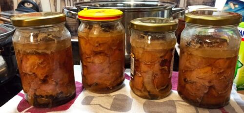 Zrobiłam pierwszą wędlinę słoikową. Wylosowało karczek. Teraz słoiczki się studzą, nie mogę doczekać się - moll - Hejto.pl