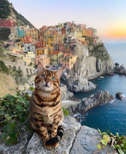 włoskiekotki Torba spakowana, a w niej są klapeczki Czas wyrwać się z kraju, gdzie pora jest dżdża By usiąść - splash545 - Hejto.pl