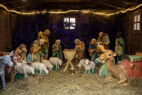 Siema, Niniejszym otwieram CVII (107) edycję konkursu #nasonety , będącego jednym ze smaczniejszych towarów - Piechur - Hejto.pl