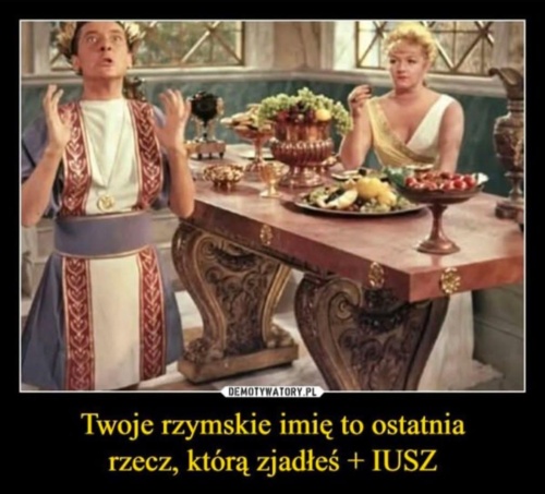 Kurczak Burgeriusz. gownowpis #heheszki - kim_jestesmy_dokad_zmierzamy - Hejto.pl