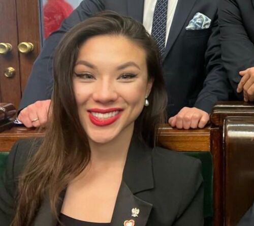 Psychiatra: troll face nie istnieje i nie może cię skrzywdzić Troll face: ﻿#heheszki﻿ ﻿#polityka - KasiaJ - Hejto.pl