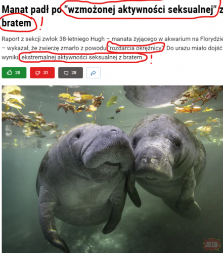 #perypetiemanata - TyGrySSek - Hejto.pl