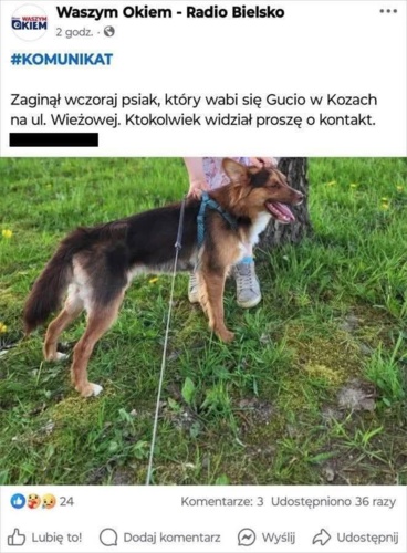 #fredikamionkagminaburzenin #heheszki - Ragnarokk - Hejto.pl