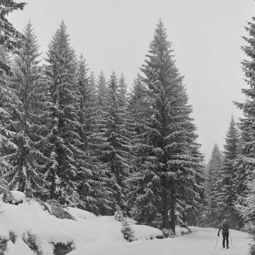 W ferie biegałem z aparatem po Górach Izerskich z aparatem średnioformatowym. Oto efekt. Yashicaflex + Ilford HP5 - adamszuba - Hejto.pl