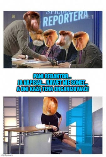 Pani redaktor! Ja napisał! Nie widział co! Nawet nie sonet! A oni każą teraz organizować! No cóż... przypadł mi - sireplama - Hejto.pl