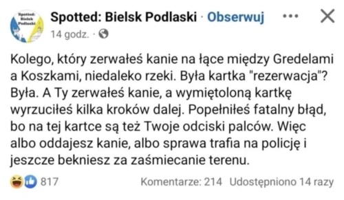 #heheszki #grzyby #rezerwacjakanii - festiwal_otwartego_parasola - Hejto.pl