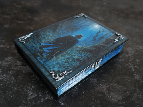 Skrzynka-książka inspirowana motywami zielarskimi i postacią z #harrypotter - chyba nie trzeba pisać, kim dokładnie - Apaturia - Hejto.pl