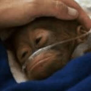 Dlaczego lewacka moderacja usunęła mój wpis z trasmisją live wiecu Konfederacji w Poznaniu? ﻿#hejto﻿ - tymon - Hejto.pl