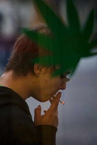 Nasi sąsiedzi legalizują marihuanę. Do 100 gramów na własny użytek - Banan11 - Hejto.pl