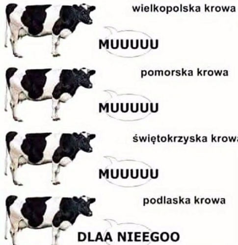 #heheszki #podlasie - damw - Hejto.pl