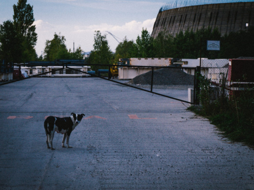 30 lat po końcu świata - yoowki - Hejto.pl