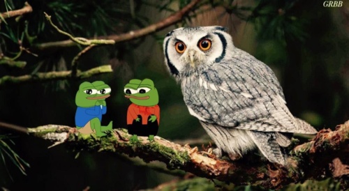 miłego popołudnia frens ﻿#apustaja - Seele - Hejto.pl