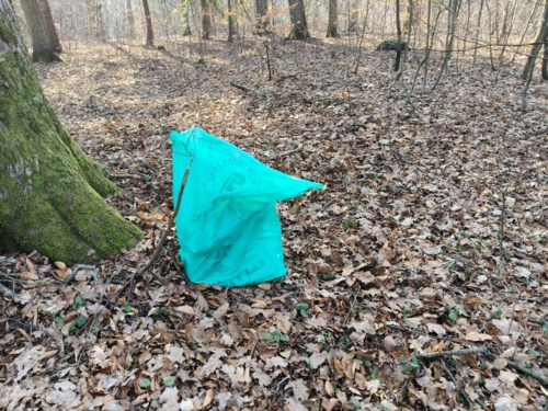 Widok jakiej rzeczy sprawił, że leśnik cofnął się 10 km po worki, by ją jak najszybciej w nie włożyć i - Airbag - Hejto.pl