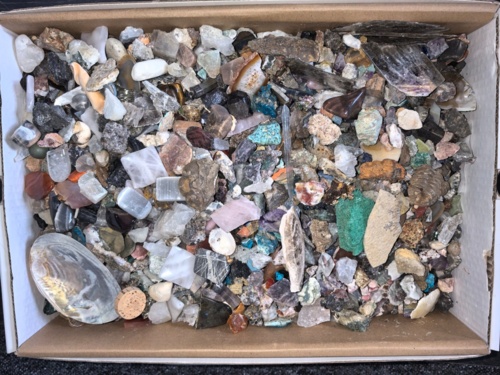#hobby #mineraly #skamieliny Dzisiaj w ramach turystyki hobbystycznej wpadliśmy do Berliner Mineralien Zentrum. - Fishery