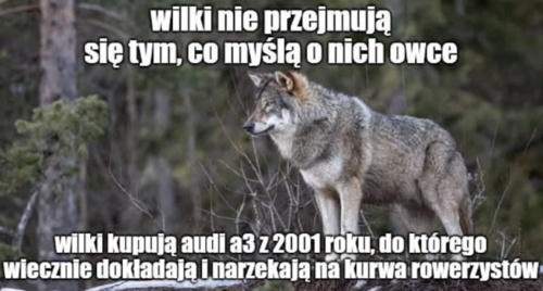 #heheszki #motoryzacja #czteryzeranamascepiatezakierownica - A_a - Hejto.pl