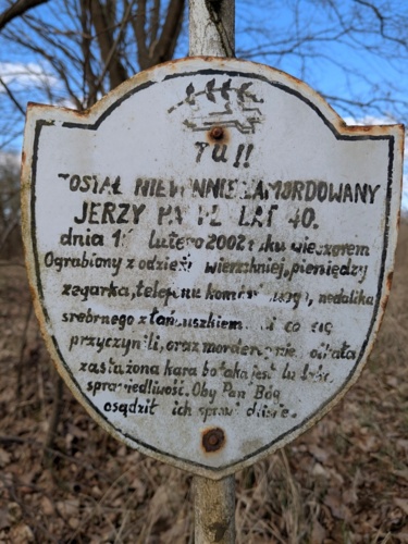 Nieopodal opuszczonego cmentarza ewangelickiego, na terenie opuszczonej wioski (z domów zostały tylko fundamenty) - adamszuba - Hejto.pl