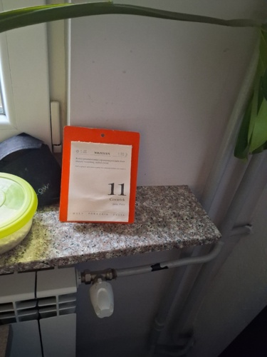 Witam, mam taki parapet z lastryko (?), który zabiera mi trochę miejsca po bokach. Czy mógłbym go uciąć - DerMirker - Hejto.pl