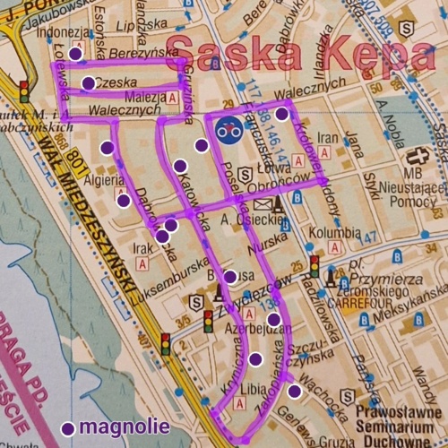 Dzień dobry wieczór się z Państwem, To będzie taki trochę nietypowy jak na mnie wpis. Jako że wiosna już pełną - fonfi - Hejto.pl