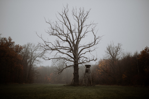 #jesien #tworczoscwlasna #fotografia - d.vil - Hejto.pl