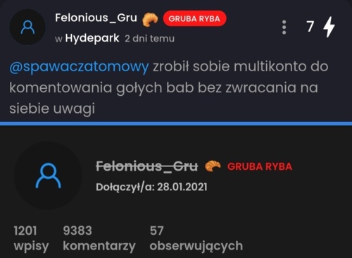 @Felonious_Gru ujawnia okropną prawdę, a dwa dni później "sam" usuwa sobie konto... @dsol17 jako ekspert - smierdakow - Hejto.pl