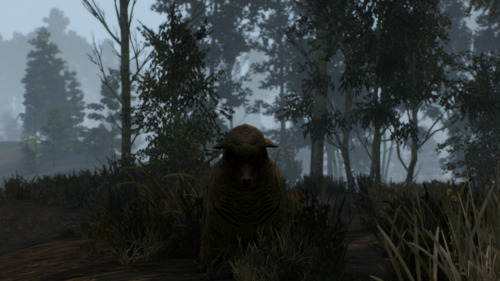 Wczoraj po niedzielnym obiadku Pan @bojowonastawionaowca wraz z Vesemeirem i Geraltem bohatersko zasadził się na gryfa - aerthevist - Hejto.pl