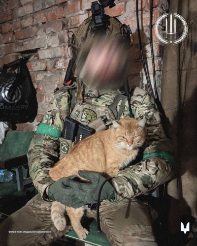 Foto: Dowództwo Sił Operacji Specjalnych Sił Zbrojnych Ukrainy #ukraina #wojna #rosja #sso #koty #kot #zwierzaczki - Mikuuuus - Hejto.pl