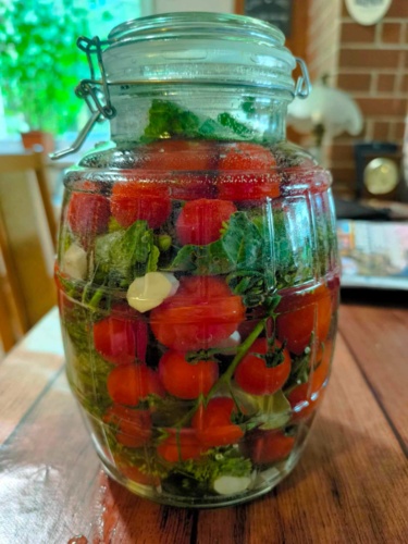 Zainspirowany przepisem Strzelczyka, na pomidory małosolne. Postanowiłem z różową też je popełnić. Jest tu poł - razALgul - Hejto.pl