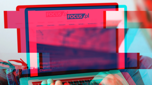 W brodach żyją mikroorganizmy, produkujące antybiotyki - moll - Hejto.pl